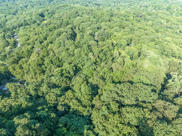 a view of a green field