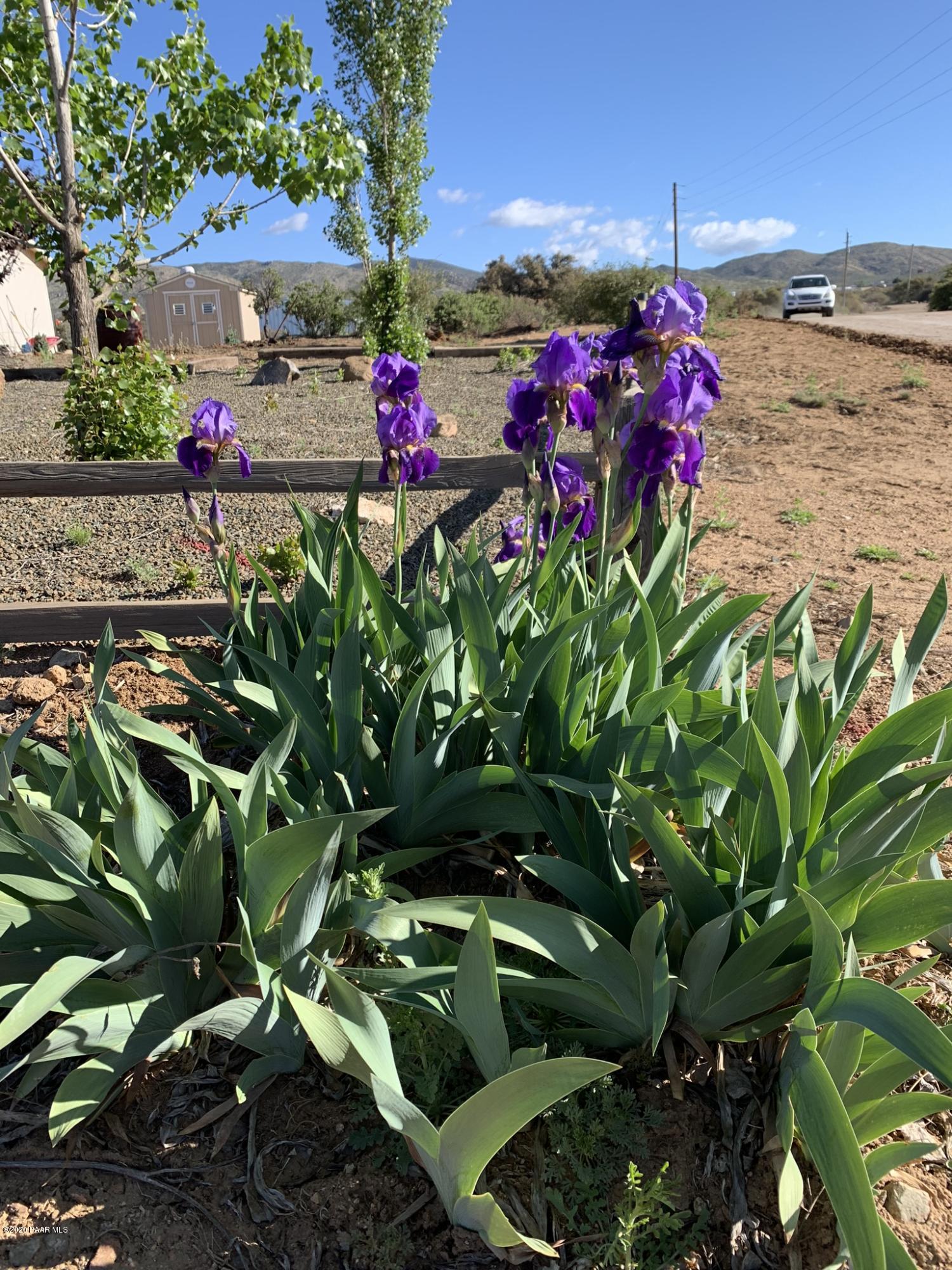 980 North Ambassador Road Dewey, AZ 86327 - Photo 21 of 28 Spring Flowers
