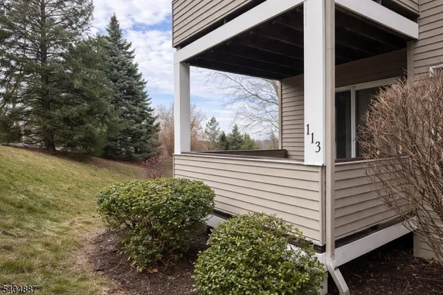 a view of a backyard with plants