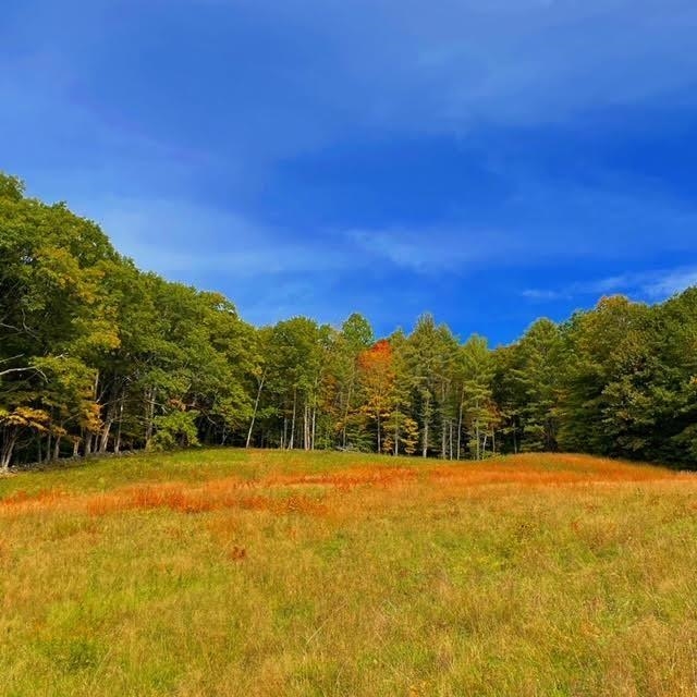 0 Route 120 Meriden, NH 03770 - Photo 1 of 7
