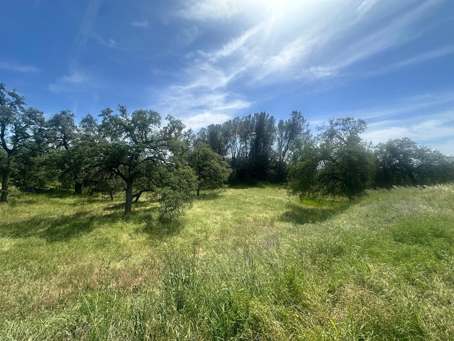 4069 Parrotts Ferry Road Vallecito, CA 95251 - Photo 17 of 32 Gallery Image 17