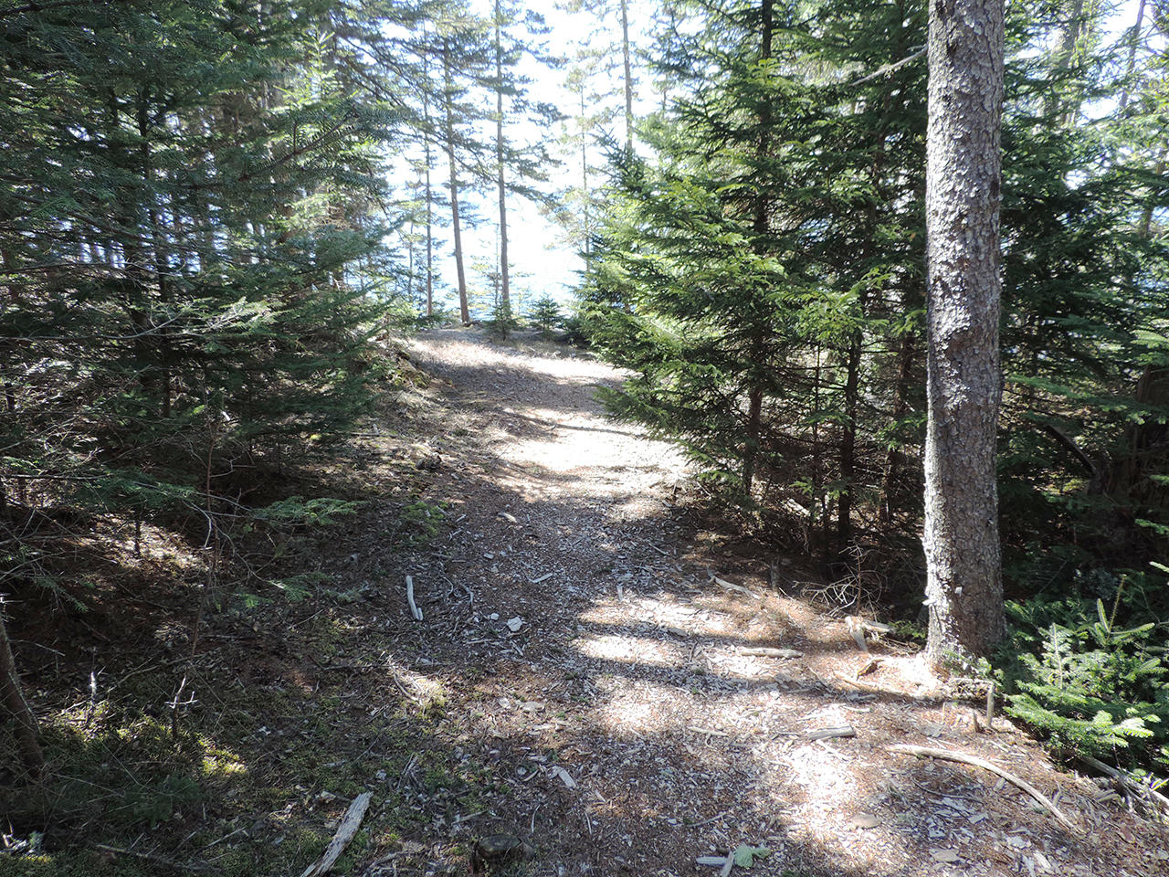 0 Latty Cv Road Bernard, ME 04612 - Photo 8 of 9 ME1568_8_CC