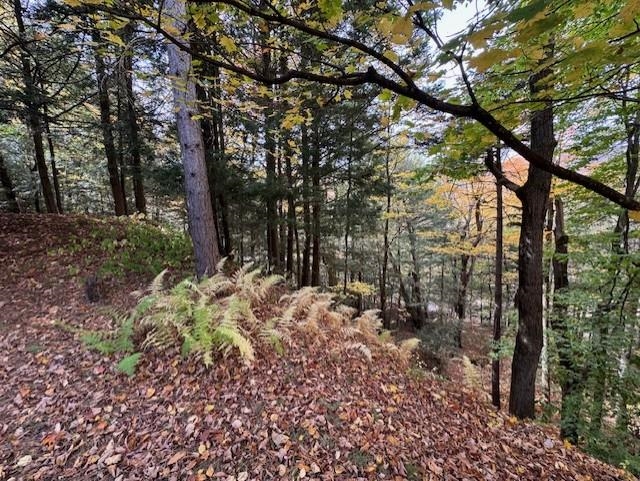 3433 West Hill Road Montgomery, VT 05450 - Photo 11 of 18