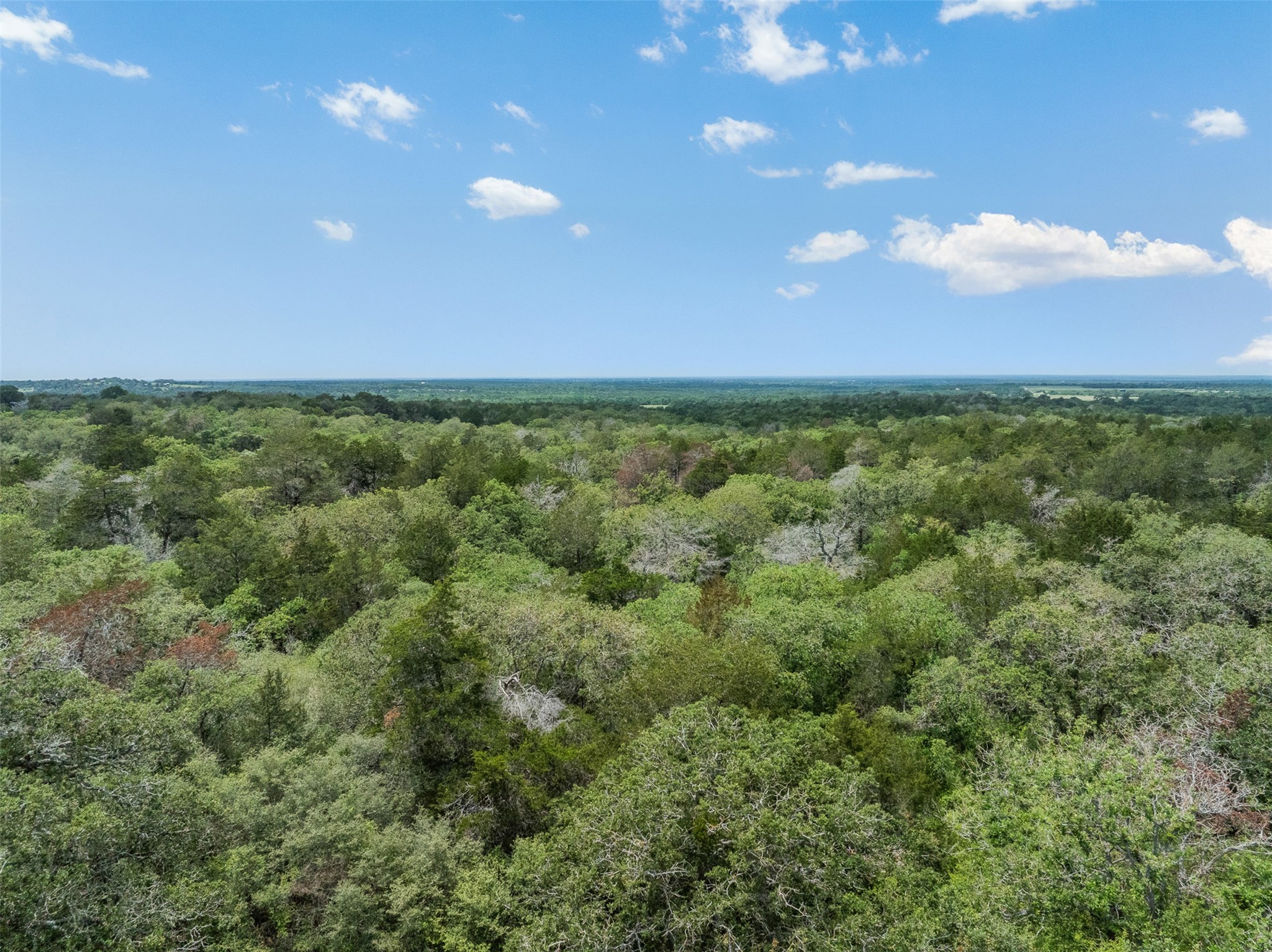 622 Red Rock Ranch Road Red Rock, TX 78662 - Photo 34 of 46 a view of a green field