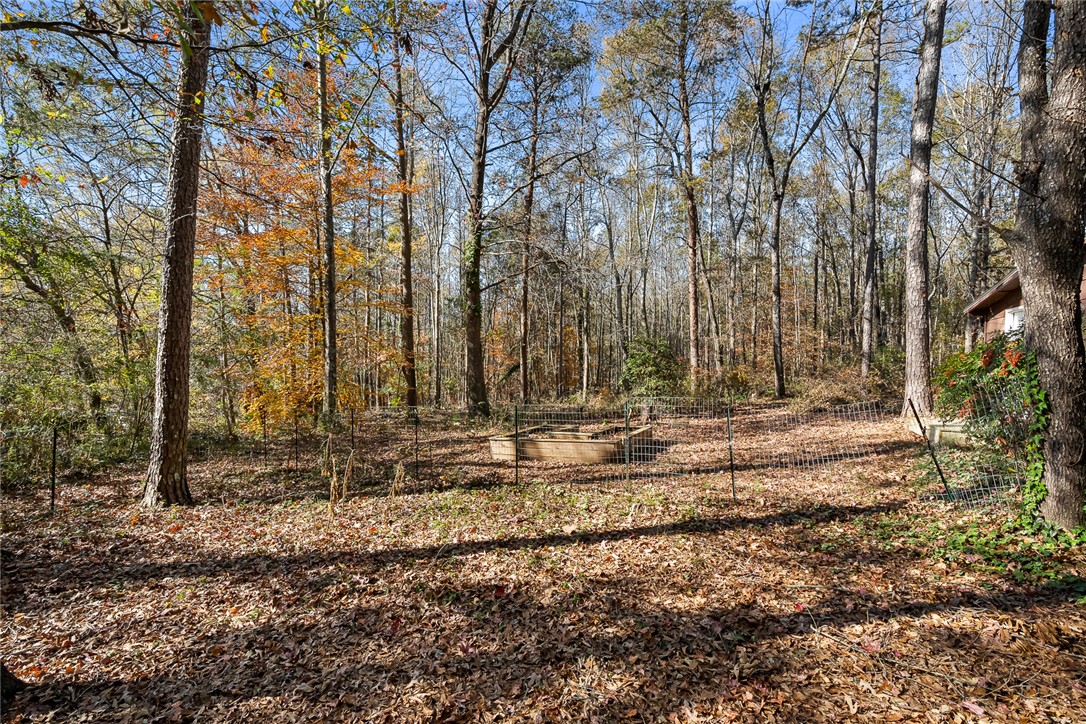 602 Grate Road Anderson, SC 29625 - Photo 34 of 44 Backyard