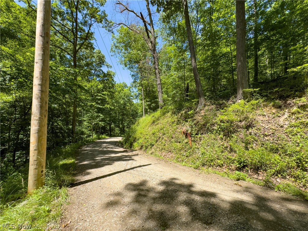0 Long Hollow Road Pomeroy, OH 45769 - Photo 25 of 31
