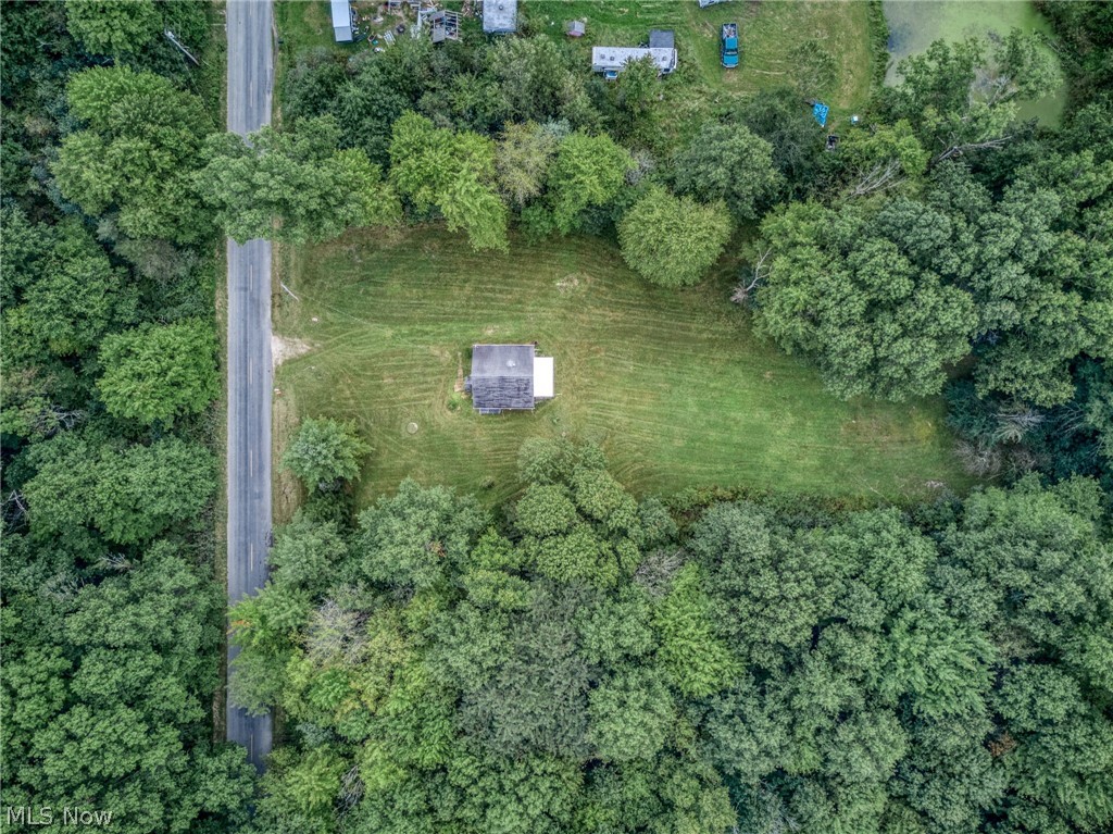 8386 Yale Road Rootstown, OH 44272 - Photo 33 of 46 Expansive lot with mature tree coverage and a paved road