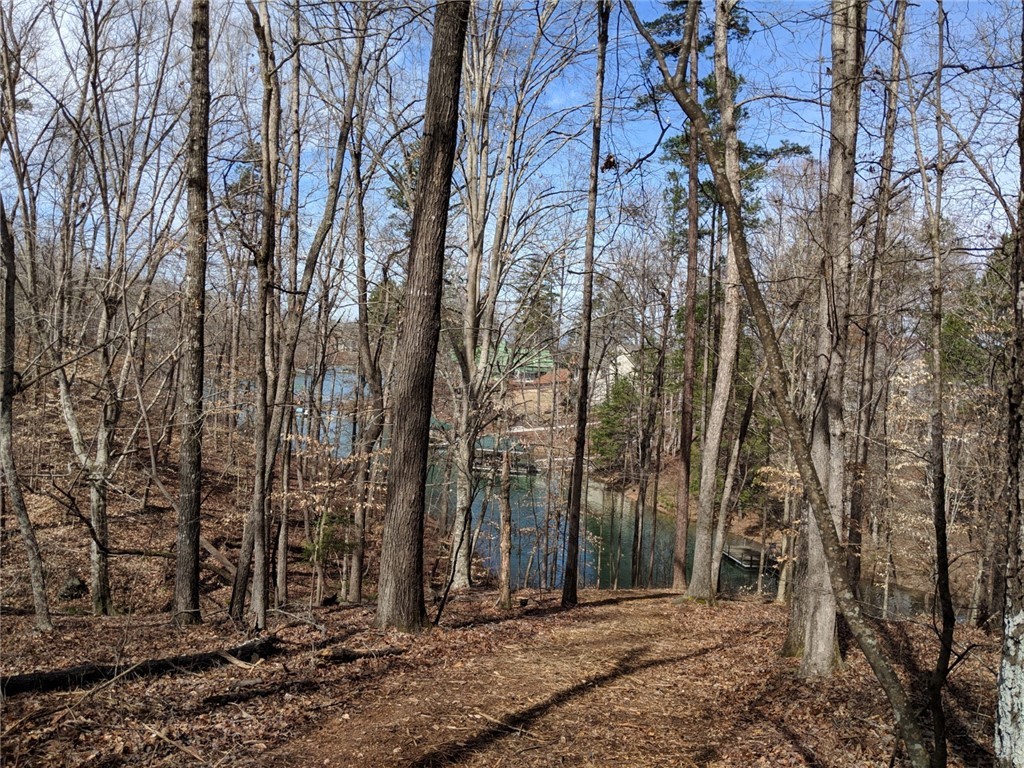 Lot 10 Waterford Ridge Seneca, SC 29672 - Photo 12 of 25 Gallery Image 12