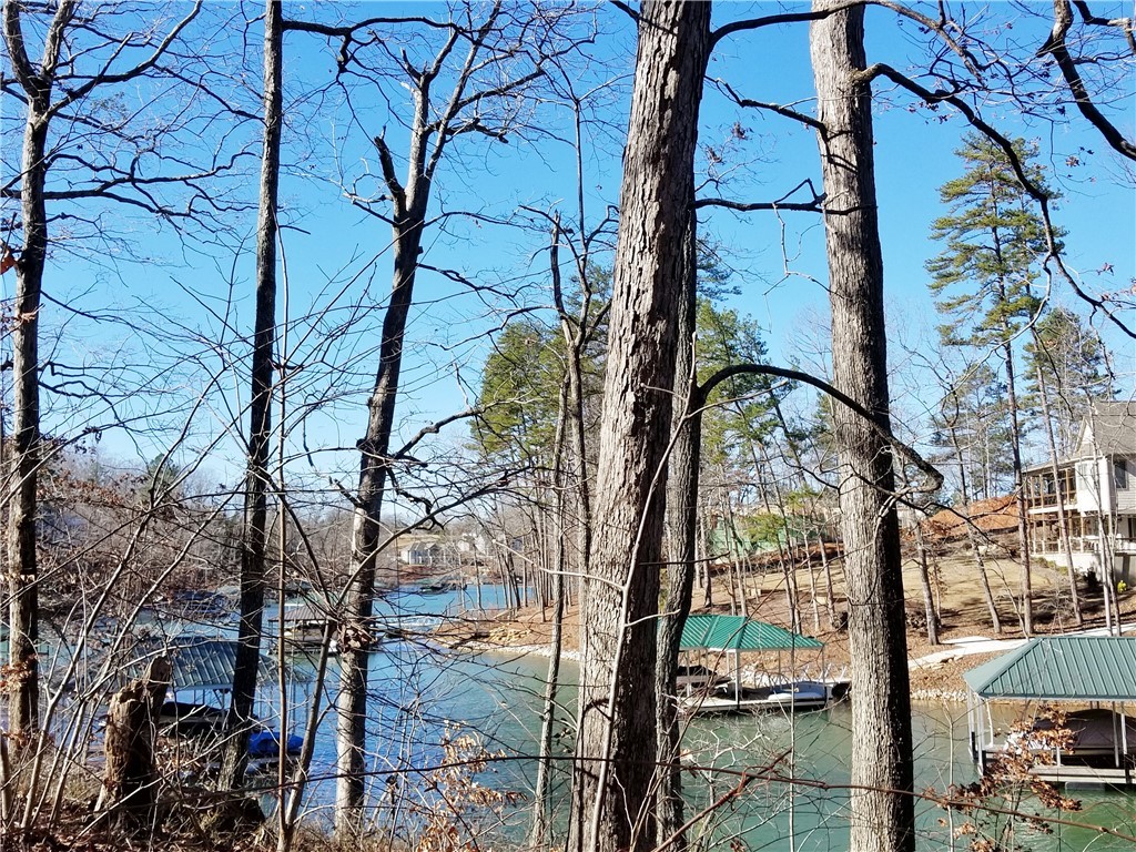 Lot 10 Waterford Ridge Seneca, SC 29672 - Photo 19 of 25 Lot is waterfront with approximately 68+/- feet of