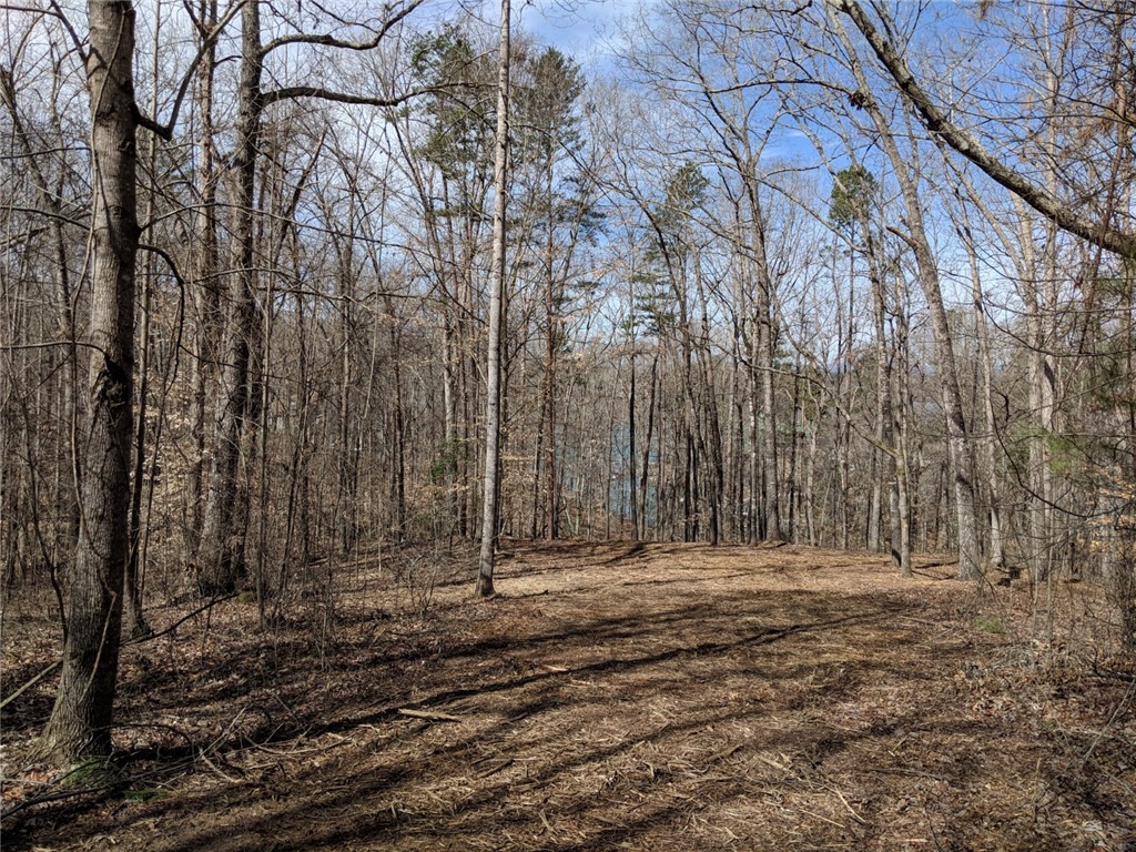 Lot 10 Waterford Ridge Seneca, SC 29672 - Photo 21 of 25 Gallery Image 21