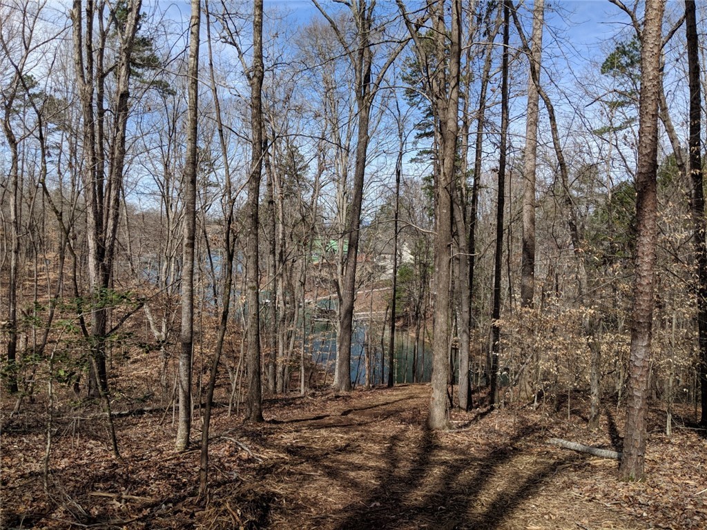 Lot 10 Waterford Ridge Seneca, SC 29672 - Photo 24 of 25 Gallery Image 24