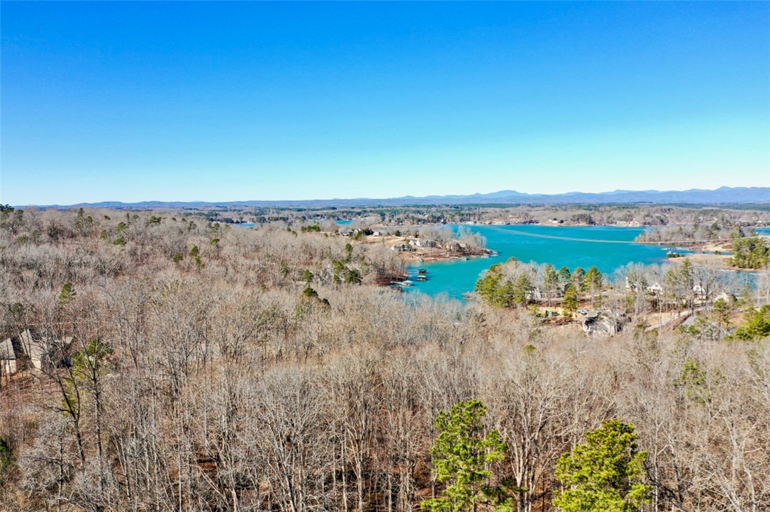 Lot 10 Waterford Ridge Seneca, SC 29672 - Photo 6 of 25 Gallery Image 6