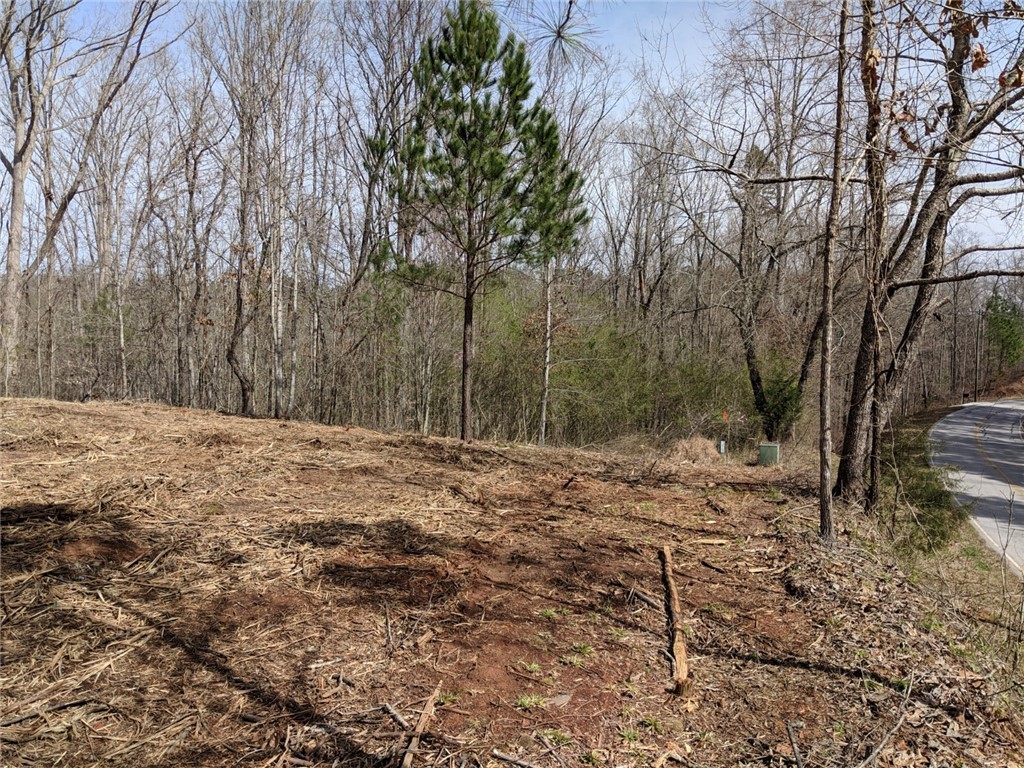 Lot 10 Waterford Ridge Seneca, SC 29672 - Photo 9 of 25 Gallery Image 9