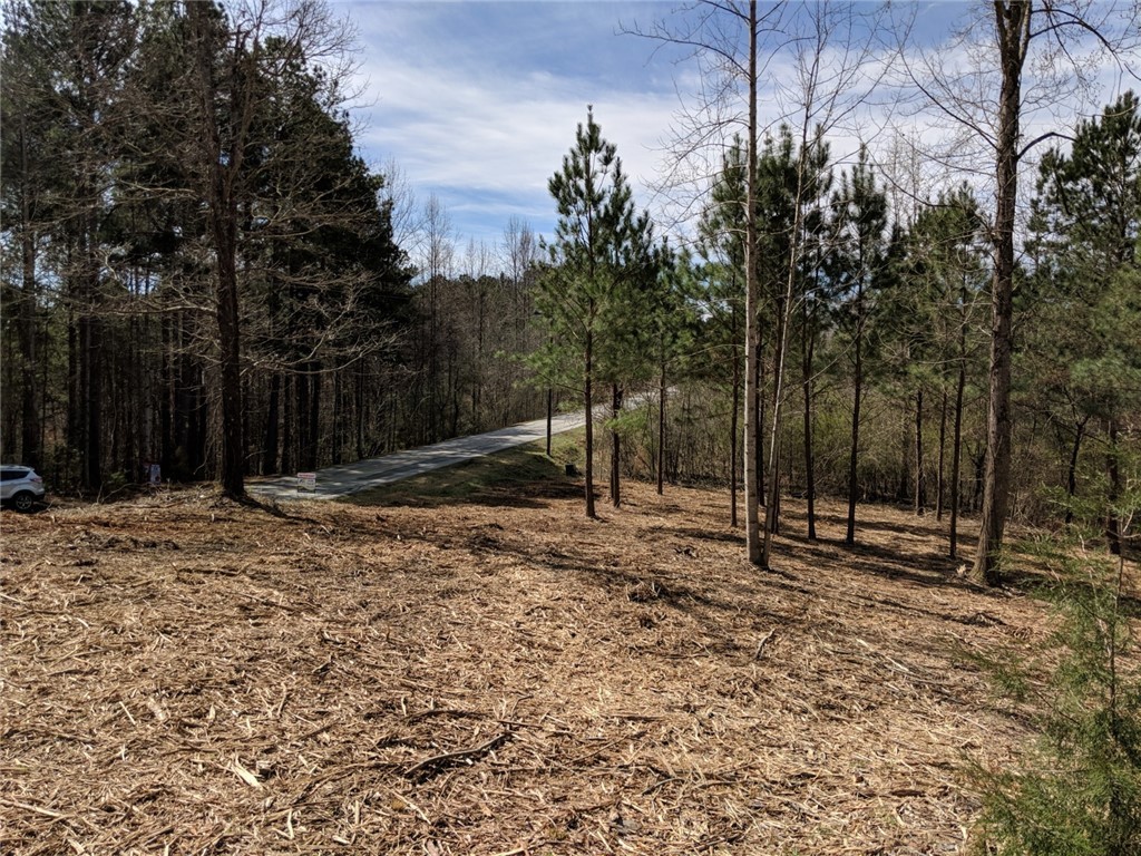 Lot 10 Waterford Ridge Seneca, SC 29672 - Photo 10 of 25 Gallery Image 10