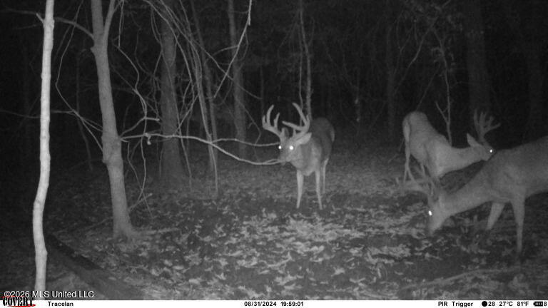 1 Highway 3 Lambert, MS 38643 - Photo 27 of 102 89DD24B2-FD66-4224-91C0-492611C09418