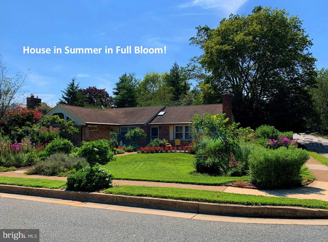 274 Beverly Road Newark, DE 19711 - Photo 2 of 40 Front Home in Summer Bloom