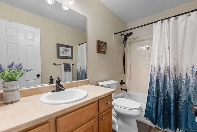 a bathroom with a granite countertop sink toilet and shower