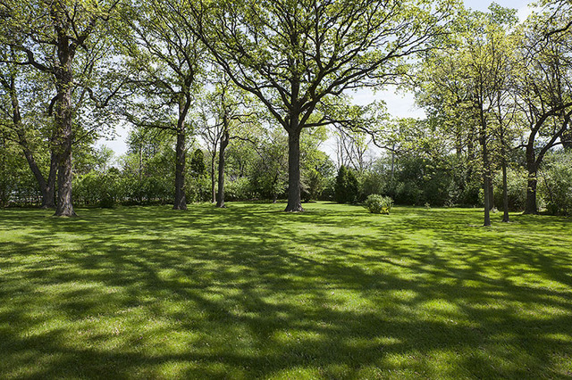 1105 Longmeadow Road Northbrook, IL 60062 - Photo 3 of 24 a view of a park with trees in the background