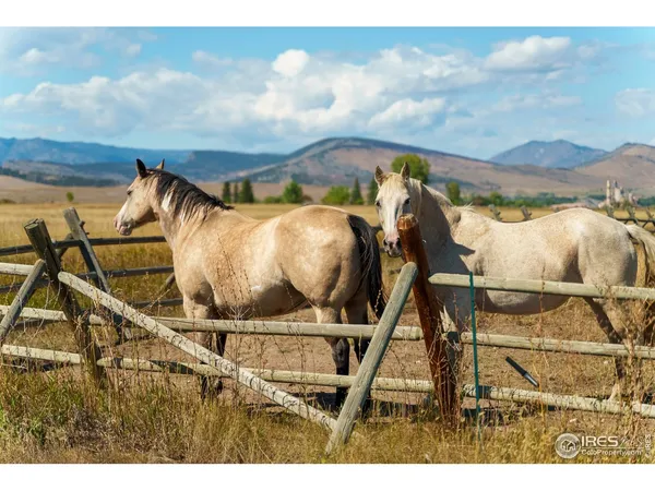 $6,000,000 | 5336 Caribou Springs Trail, Longmont, CO 80503