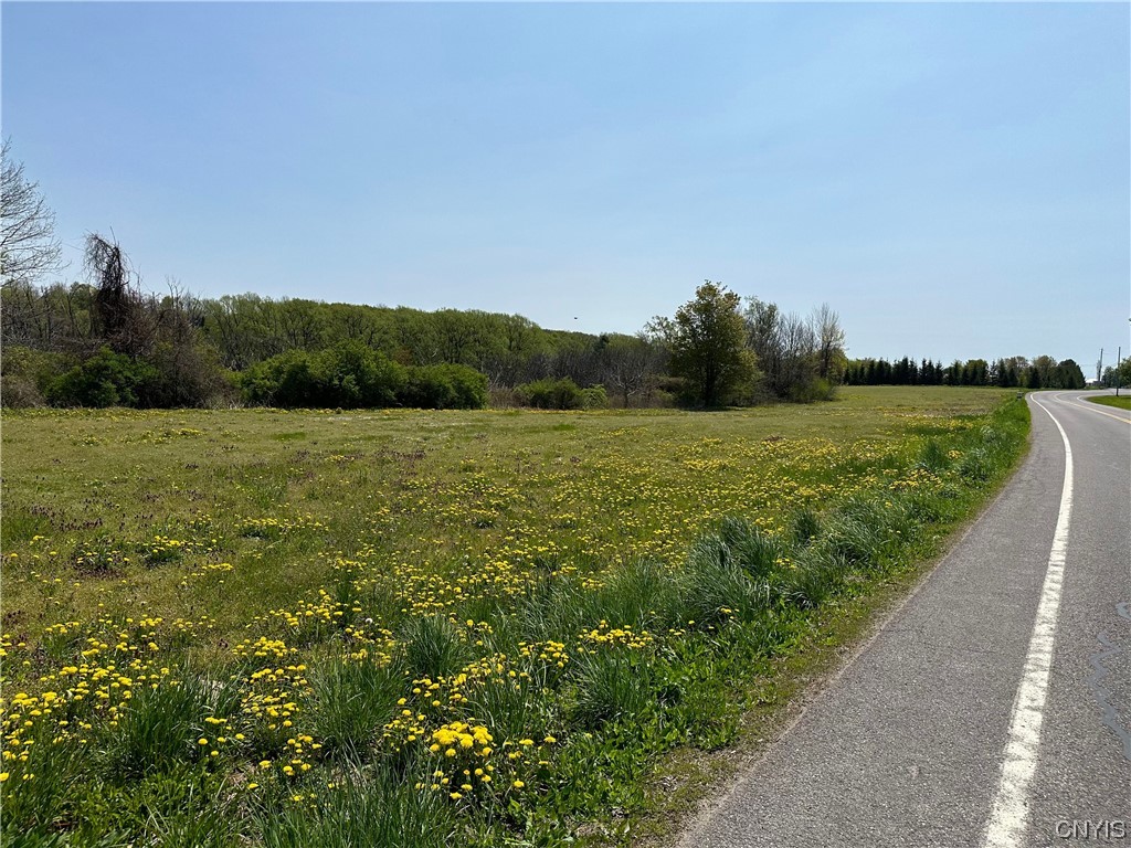 3042 Amber Road Onondaga, NY 13110 - Photo 2 of 13