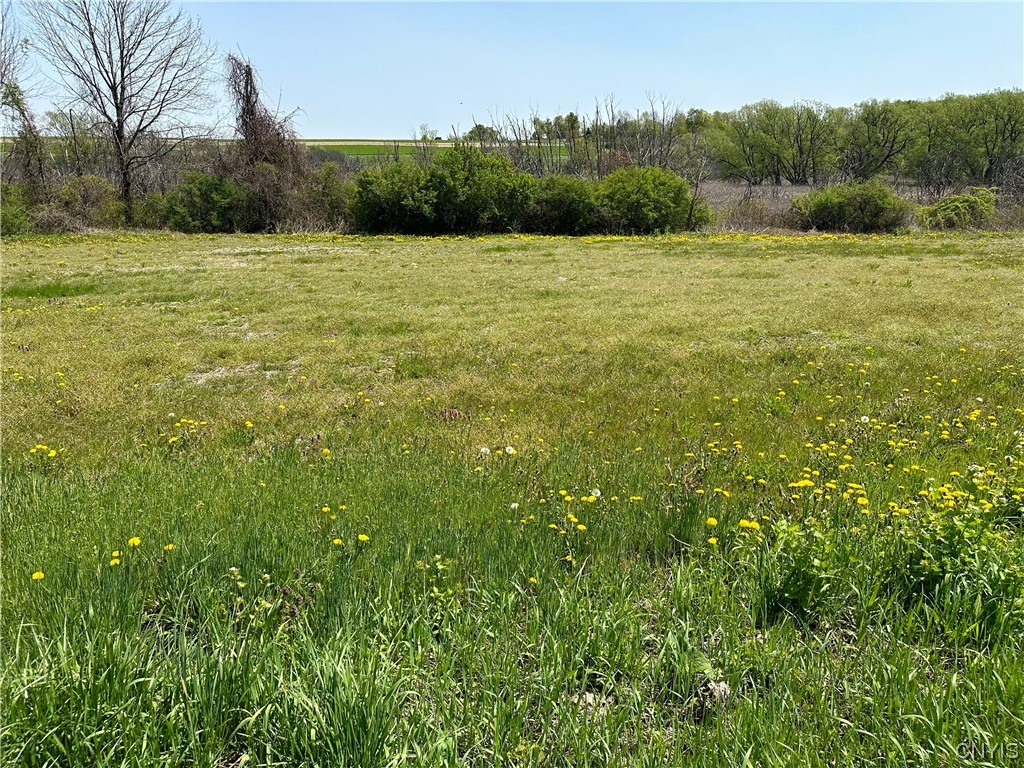 3042 Amber Road Onondaga, NY 13110 - Photo 3 of 13