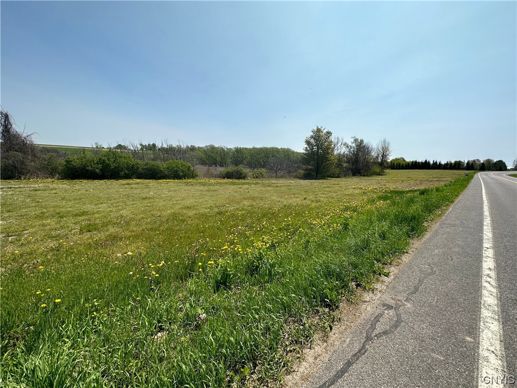 3042 Amber Road Onondaga, NY 13110 - Photo 4 of 13