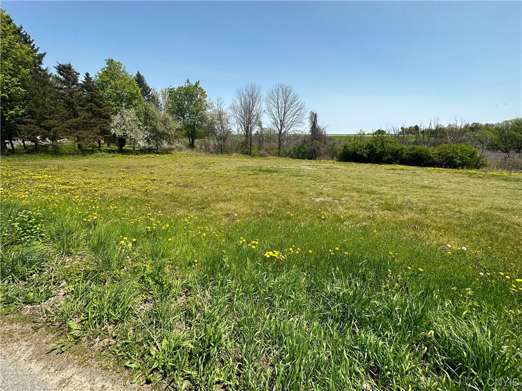 3042 Amber Road Onondaga, NY 13110 - Photo 5 of 13