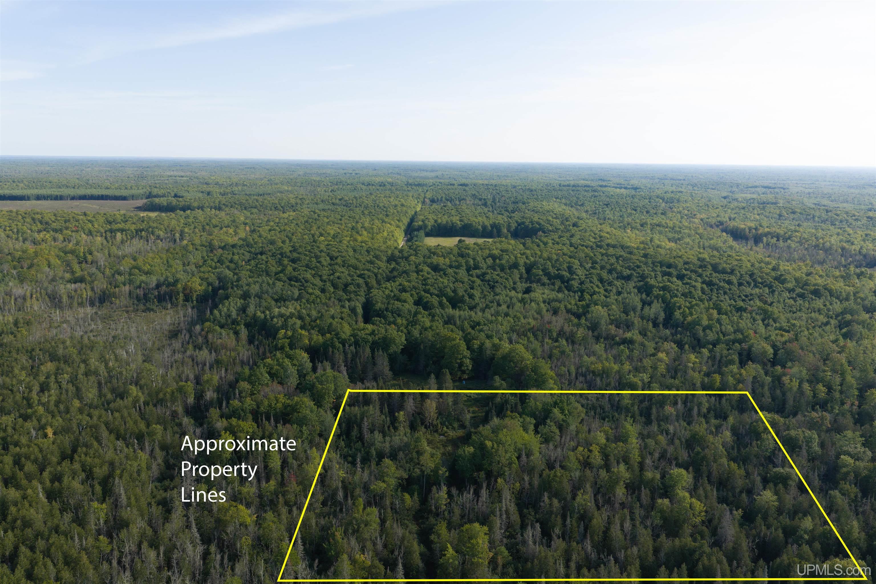 40 Acres A Off Diffin Road Trenary, MI 49891 - Photo 1 of 16 Gallery Image 1