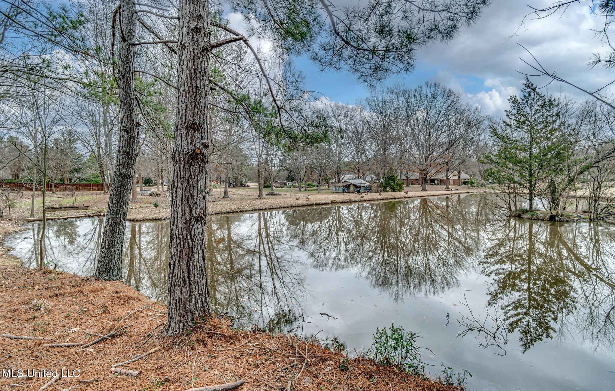 116 Anna Cove Madison, MS 39110 - Photo 27 of 27 5