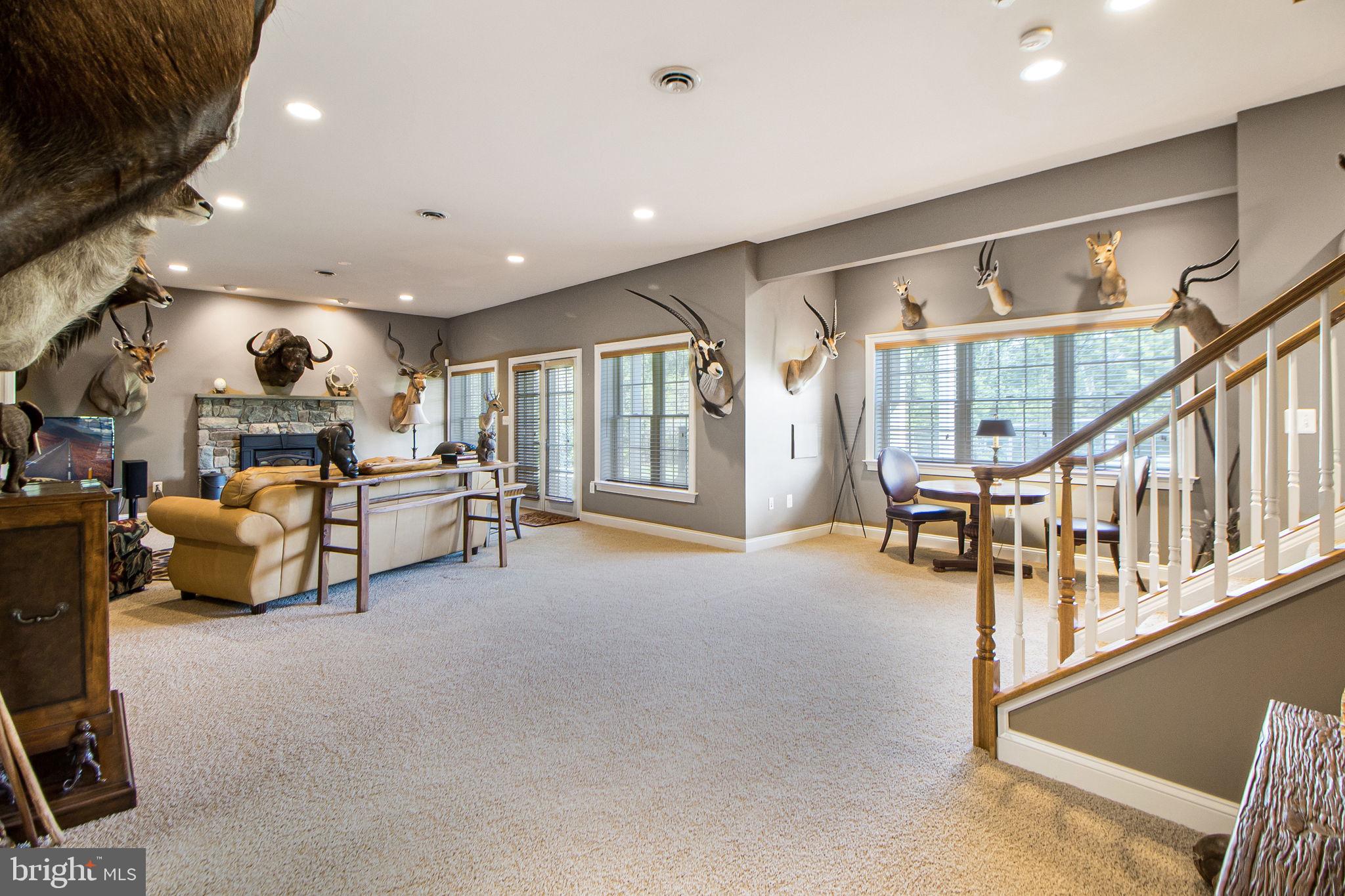 22841 West Harris Road Dickerson, MD 20842 - Photo 43 of 65 Lower level recreation/family room