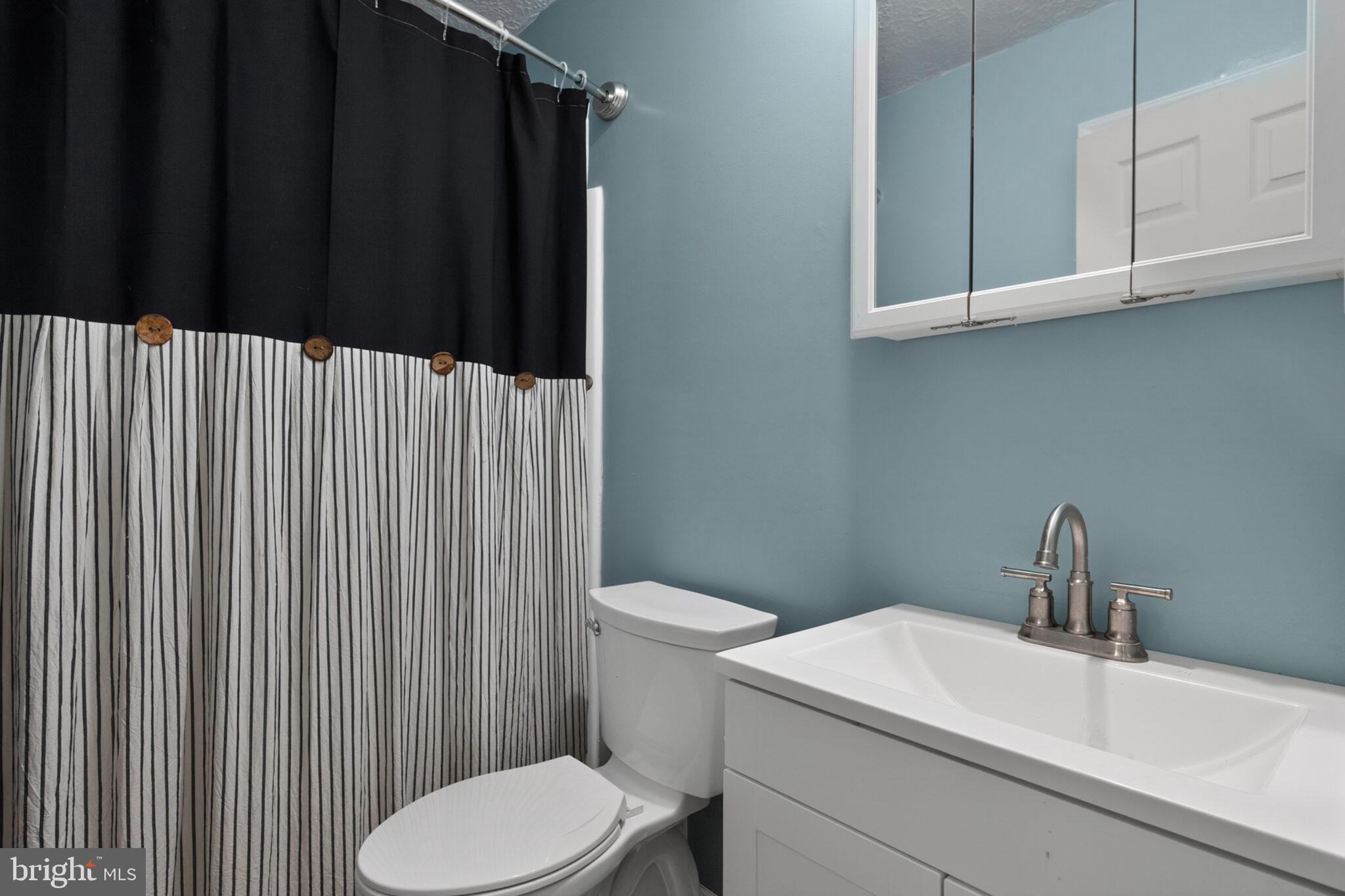 205 Monument Road Locust Grove, VA 22508 - Photo 18 of 49 a bathroom with a sink a toilet and mirror