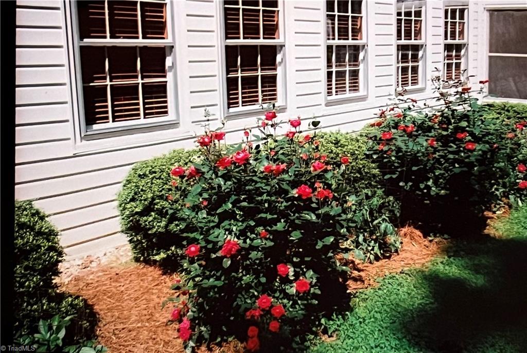 406 Spring Street King, NC 27021 - Photo 17 of 50 Gallery Image 17
