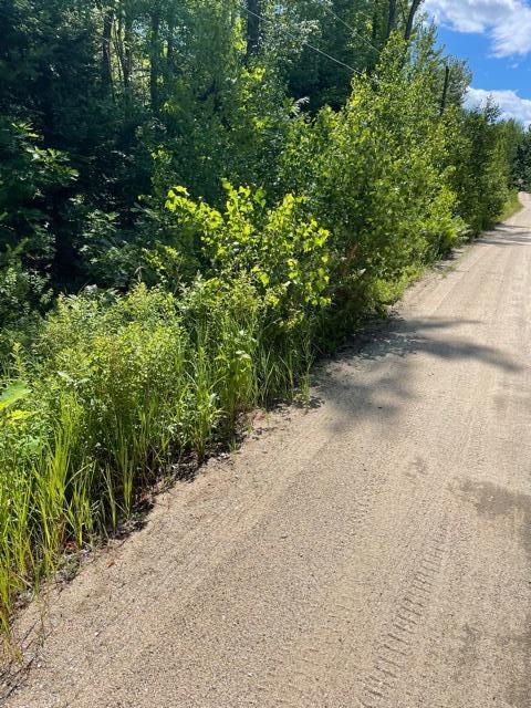 Lot21 Gore Road Otisfield, ME 04270 - Photo 2 of 3 OTLot21pic