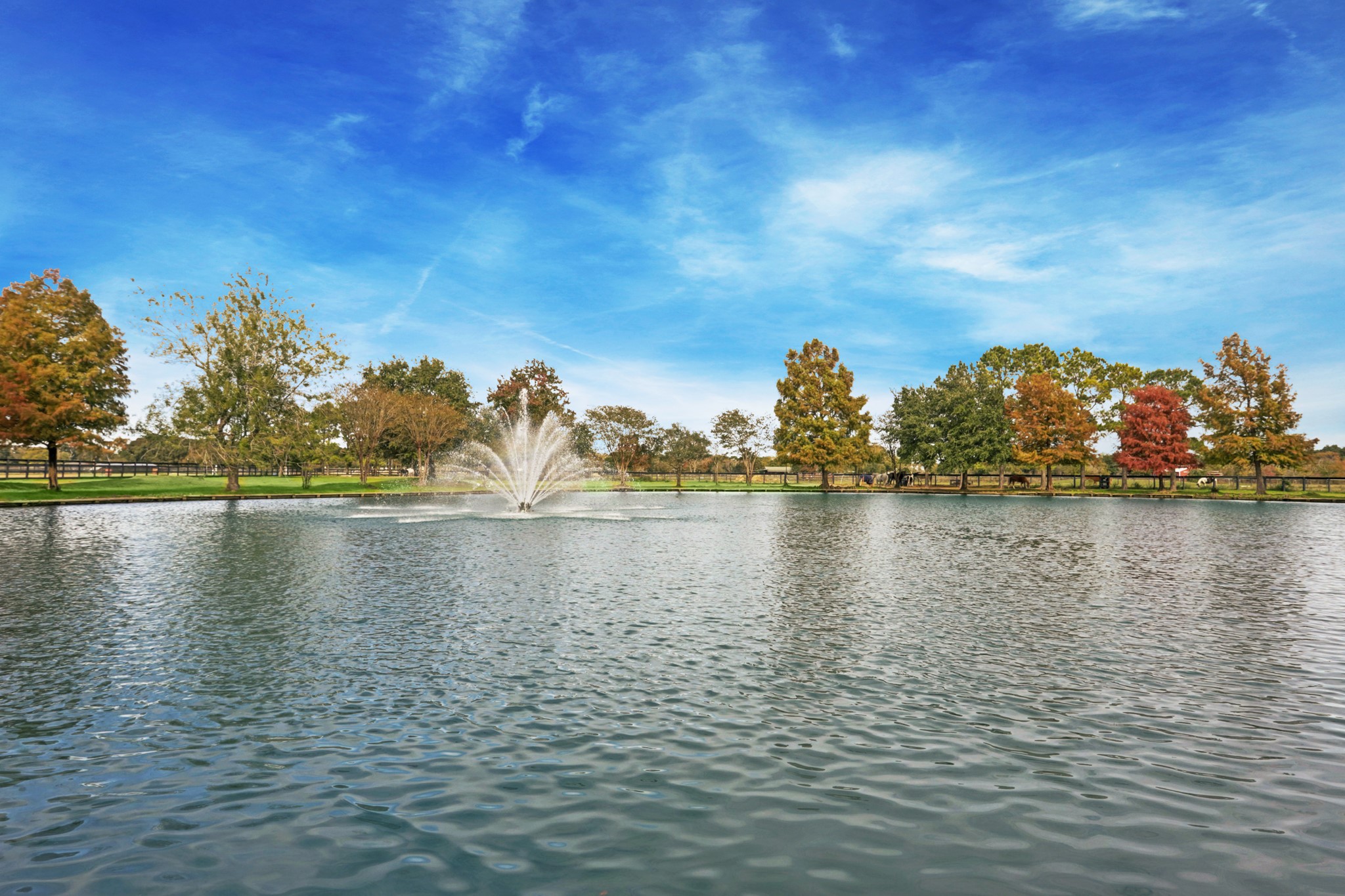 1834 1463rd Road Katy, TX 77494 - Photo 35 of 40