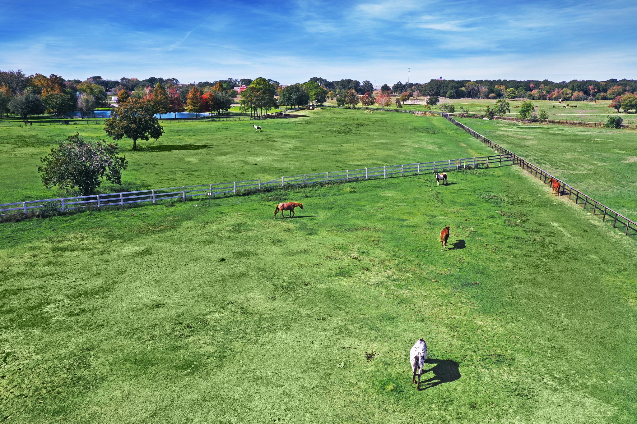 1834 1463rd Road Katy, TX 77494 - Photo 4 of 40