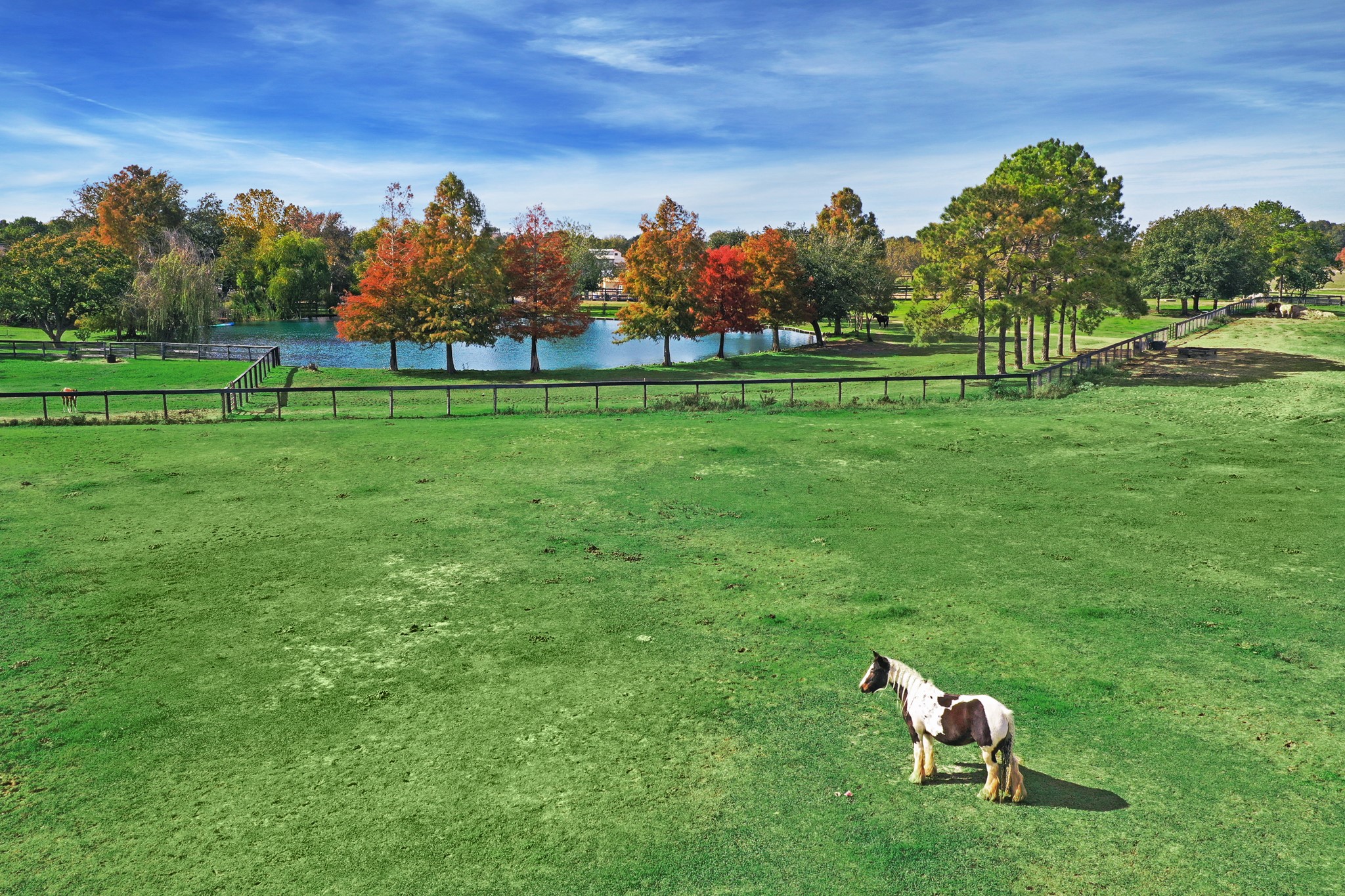 1834 1463rd Road Katy, TX 77494 - Photo 5 of 40