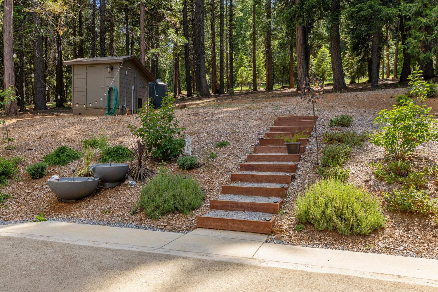 3070 Crystal Summit Road Pollock Pines, CA 95726 - Photo 51 of 76