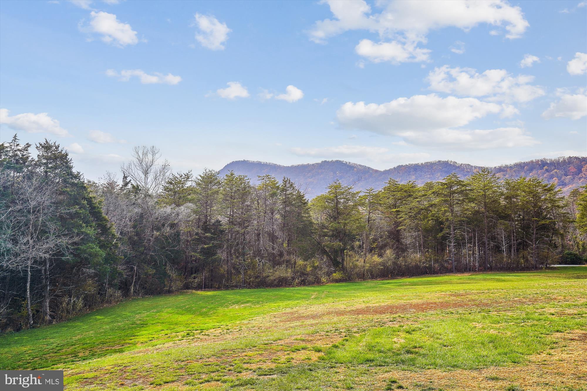 3352 Mountain Road Front Royal, VA 22630 - Photo 3 of 25 View From Front