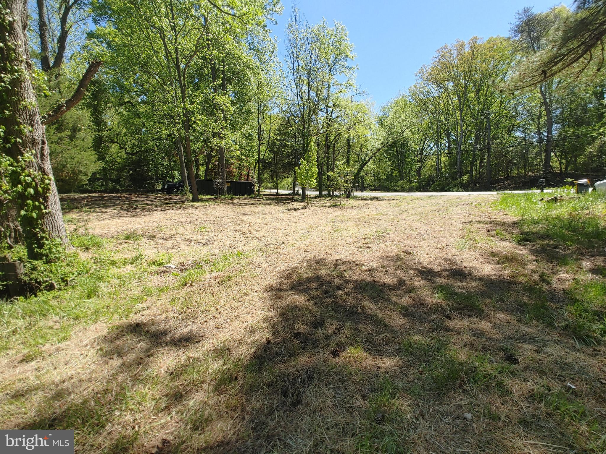 4180 Shoreham Beach Road Edgewater, MD 21037 - Photo 13 of 26 a view of yard with trees