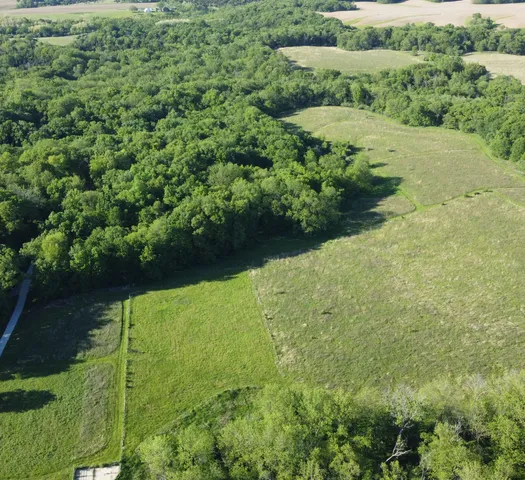 a view of a garden with a lake