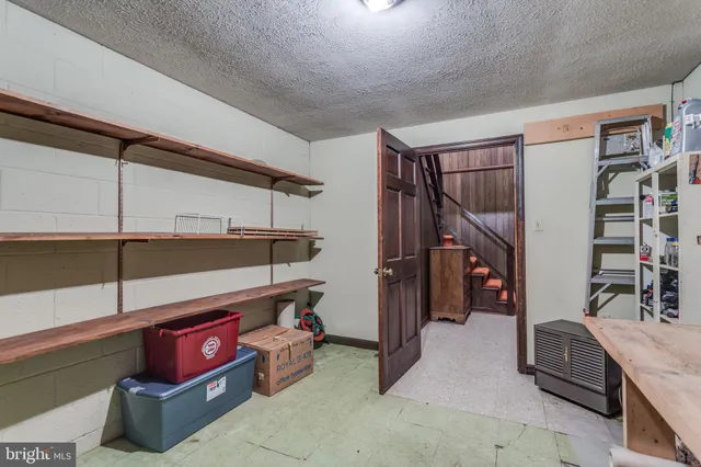 a view of a house with backyard and a tree