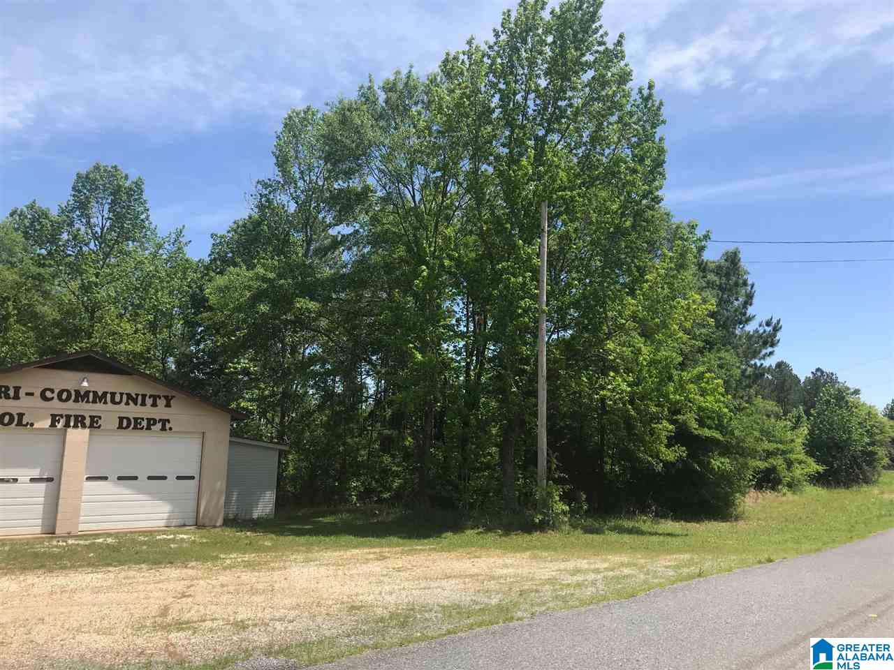 Firehouse Road, Unit 21 Goodwater, AL 35072 - Photo 1 of 21
