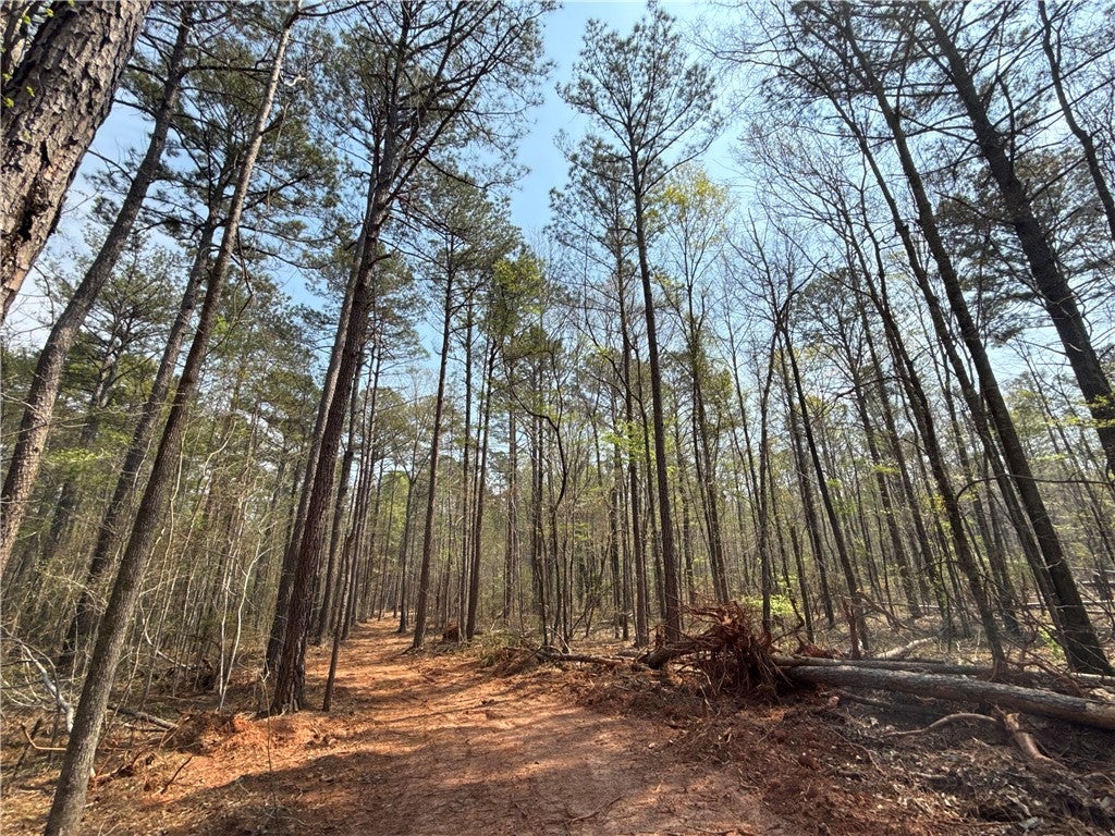 0 Heard Road Waverly, AL 36879 - Photo 3 of 11 Gallery Image 3