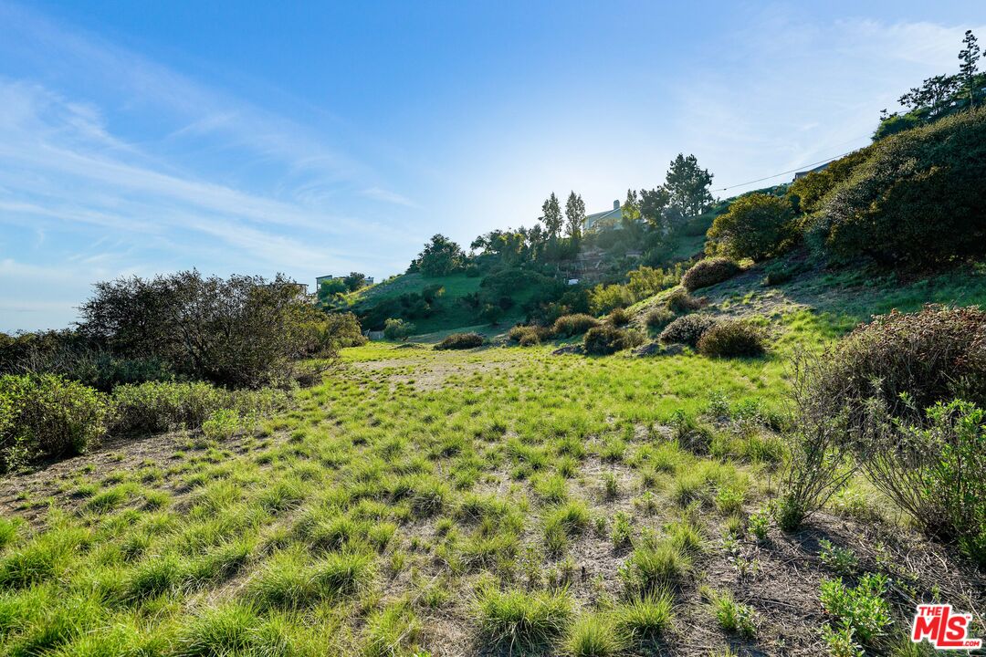 21653 Saddle Peak Road Topanga, CA 90290 - Photo 12 of 71 a view of a green field with lots of bushes