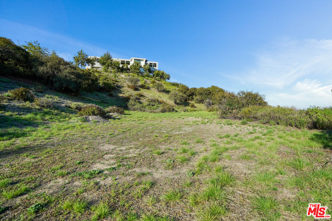 21653 Saddle Peak Road Topanga, CA 90290 - Photo 13 of 71 a view of a green field with lots of bushes
