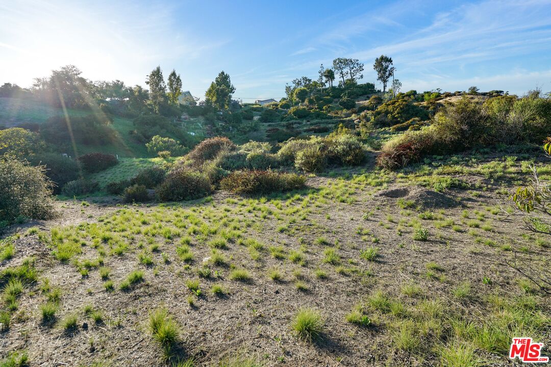 21653 Saddle Peak Road Topanga, CA 90290 - Photo 14 of 71 a view of a bunch of trees and bushes