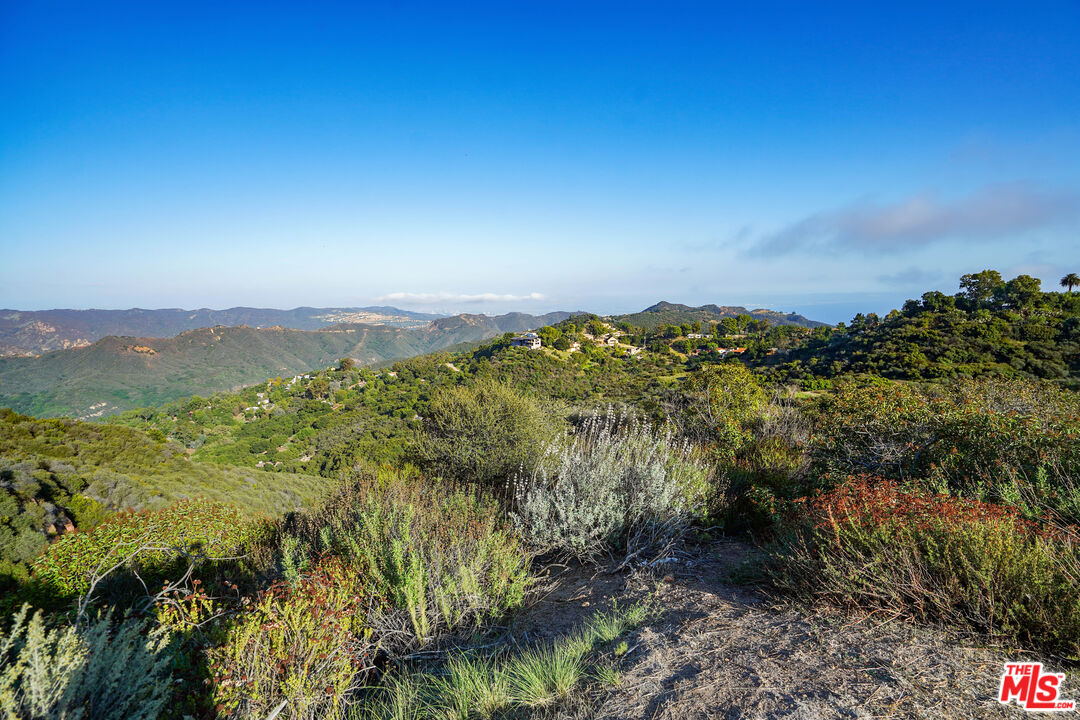 21653 Saddle Peak Road Topanga, CA 90290 - Photo 18 of 71