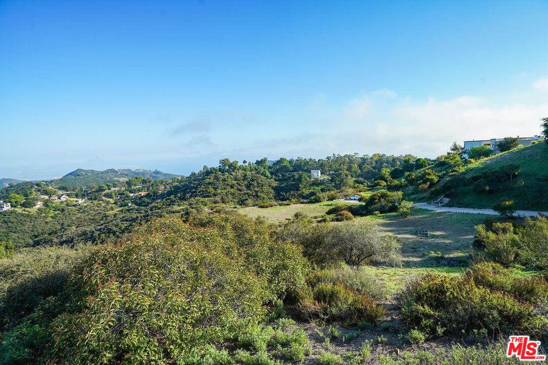 21653 Saddle Peak Road Topanga, CA 90290 - Photo 22 of 71 a view of a city with lush green forest