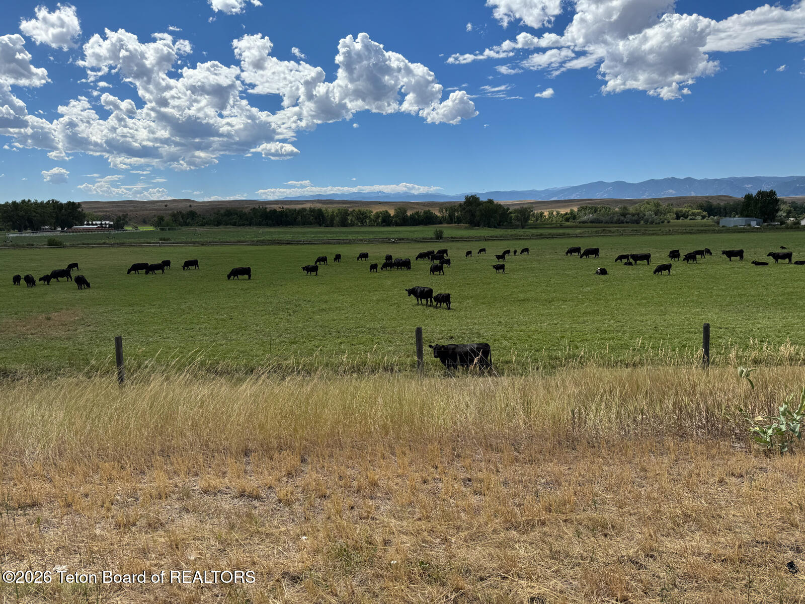 1720 State Highway Ranchester, WY 82839 - Photo 35 of 61 Soaring-Eagle-Ranch-Ranchester-Wyoming (