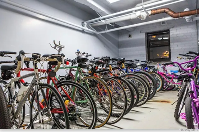a view of park with tree